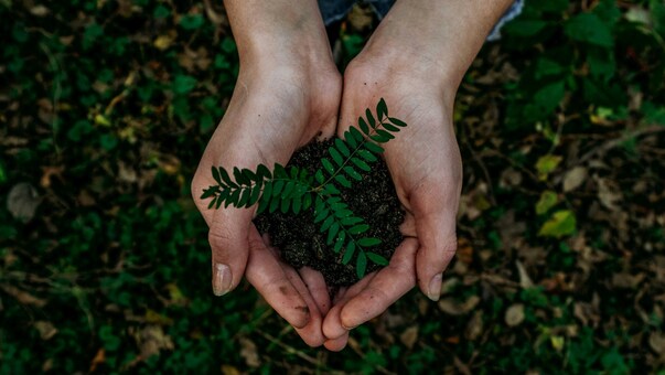 Hands grabbing soil with a small plant grown on it. | by Noah Buscher on Unsplash